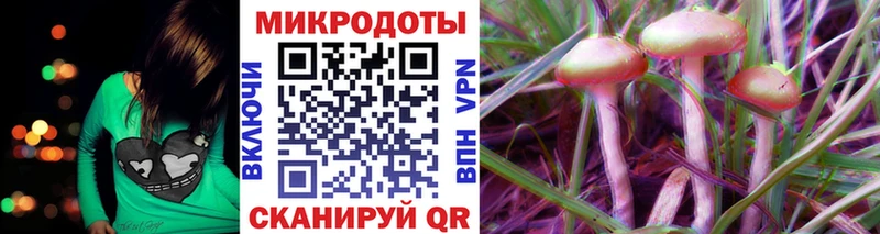 Псилоцибиновые грибы Psilocybine cubensis  Донецк 