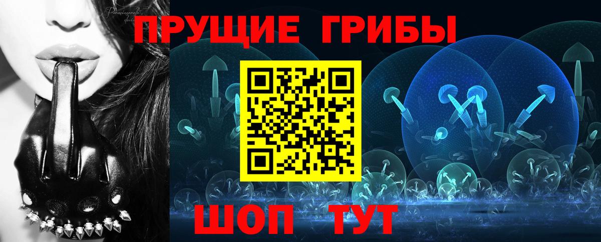 Псилоцибиновые грибы мицелий  наркотики  Донецк  Вход с VPN  Псилоцибиновые грибы Psilocybine cubensis 