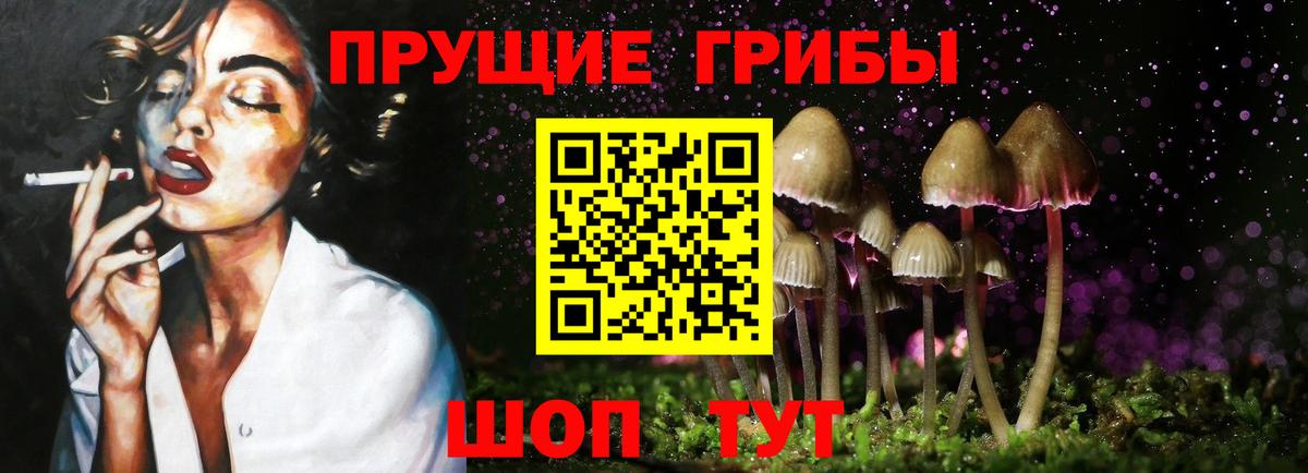 Галлюциногенные грибы Psilocybe Донецк